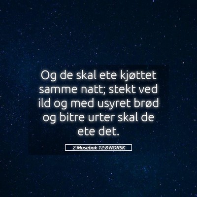 Picture 05 - 2 Mosebok 12:8 NORSK - Og de skal ete kjøttet samme natt; stekt ved ild - Bible Verse Picture