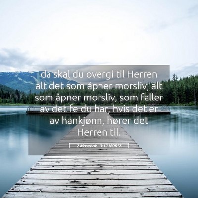 Picture 05 - 2 Mosebok 13:12 NORSK - da skal du overgi til Herren alt det som åpner - Bible Verse Picture
