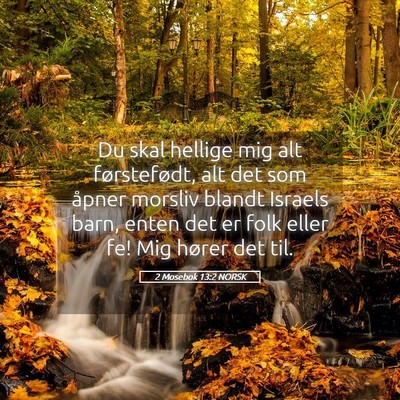 Picture 05 - 2 Mosebok 13:2 NORSK - Du skal hellige mig alt førstefødt, alt det som - Bible Verse Picture