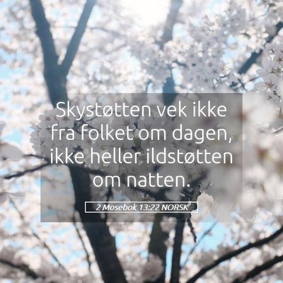 Picture 05 - 2 Mosebok 13:22 NORSK - Skystøtten vek ikke fra folket om dagen, ikke - Bible Verse Picture