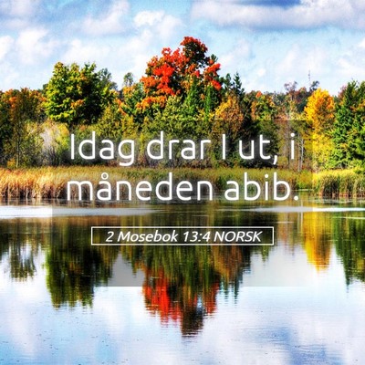 Picture 05 - 2 Mosebok 13:4 NORSK - Idag drar I ut, i måneden - Bible Verse Picture
