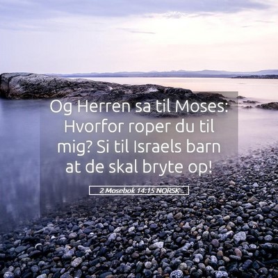 Picture 05 - 2 Mosebok 14:15 NORSK - Og Herren sa til Moses: Hvorfor roper du til mig? - Bible Verse Picture