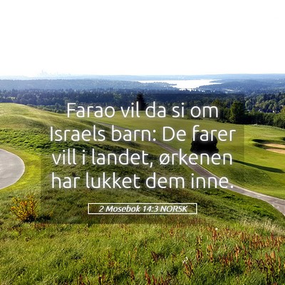 Picture 05 - 2 Mosebok 14:3 NORSK - Farao vil da si om Israels barn: De farer vill i - Bible Verse Picture