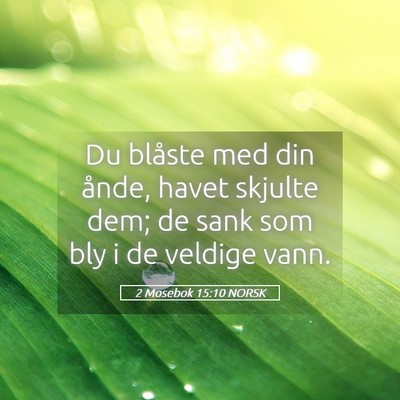 Picture 05 - 2 Mosebok 15:10 NORSK - Du blåste med din ånde, havet skjulte dem; de - Bible Verse Picture