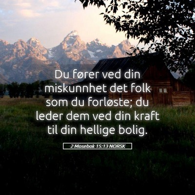 Picture 05 - 2 Mosebok 15:13 NORSK - Du fører ved din miskunnhet det folk som du - Bible Verse Picture