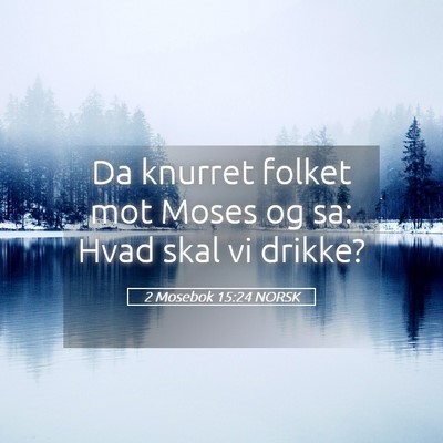Picture 05 - 2 Mosebok 15:24 NORSK - Da knurret folket mot Moses og sa: Hvad skal vi - Bible Verse Picture