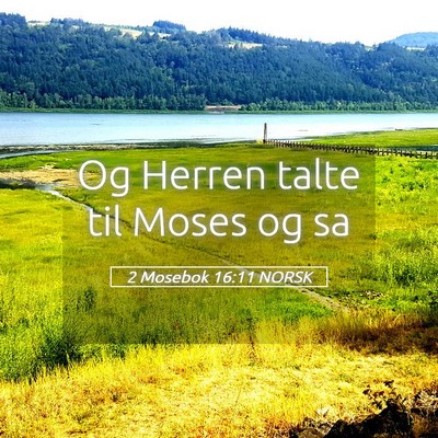 Picture 05 - 2 Mosebok 16:11 NORSK - Og Herren talte til Moses og - Bible Verse Picture