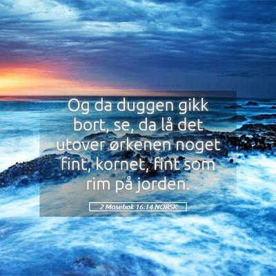 Picture 05 - 2 Mosebok 16:14 NORSK - Og da duggen gikk bort, se, da lå det utover - Bible Verse Picture