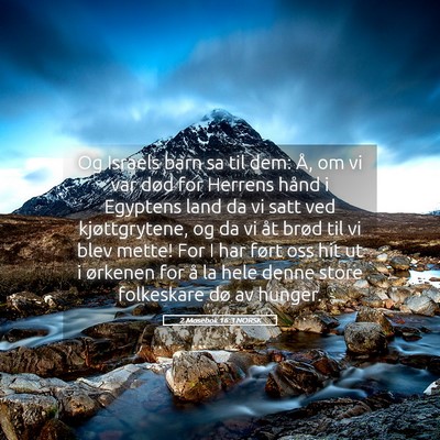 Picture 05 - 2 Mosebok 16:3 NORSK - Og Israels barn sa til dem: Å, om vi var død - Bible Verse Picture