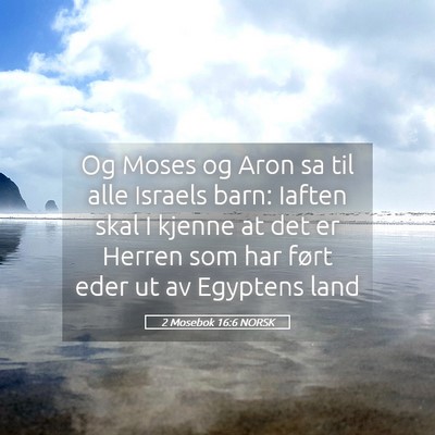 Picture 05 - 2 Mosebok 16:6 NORSK - Og Moses og Aron sa til alle Israels barn: Iaften - Bible Verse Picture