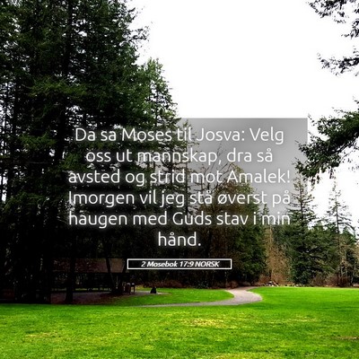 Picture 05 - 2 Mosebok 17:9 NORSK - Da sa Moses til Josva: Velg oss ut mannskap, dra - Bible Verse Picture