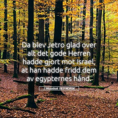 Picture 05 - 2 Mosebok 18:9 NORSK - Da blev Jetro glad over alt det gode Herren hadde - Bible Verse Picture
