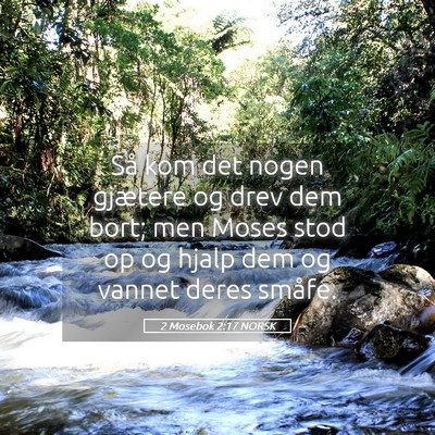 Picture 05 - 2 Mosebok 2:17 NORSK - Så kom det nogen gjætere og drev dem bort; men - Bible Verse Picture