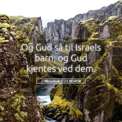 Picture 05 - 2 Mosebok 2:25 NORSK - Og Gud så til Israels barn, og Gud kjentes ved - Bible Verse Picture