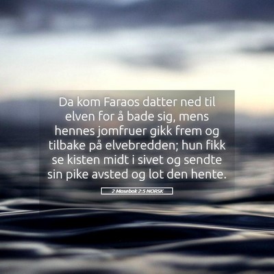 Picture 05 - 2 Mosebok 2:5 NORSK - Da kom Faraos datter ned til elven for å bade - Bible Verse Picture