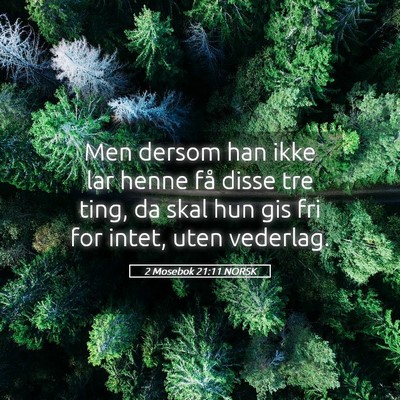 Picture 05 - 2 Mosebok 21:11 NORSK - Men dersom han ikke lar henne få disse tre ting, - Bible Verse Picture