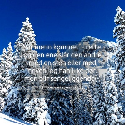 Picture 05 - 2 Mosebok 21:18 NORSK - Når menn kommer i trette, og den ene slår den - Bible Verse Picture