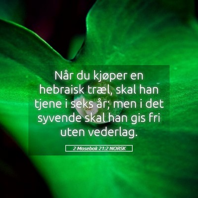 Picture 05 - 2 Mosebok 21:2 NORSK - Når du kjøper en hebraisk træl, skal han tjene - Bible Verse Picture