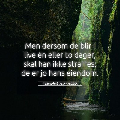 Picture 05 - 2 Mosebok 21:21 NORSK - Men dersom de blir i live én eller to dager, - Bible Verse Picture