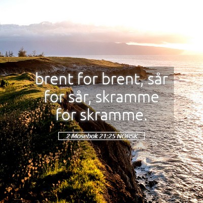 Picture 05 - 2 Mosebok 21:25 NORSK - brent for brent, sår for sår, skramme for - Bible Verse Picture
