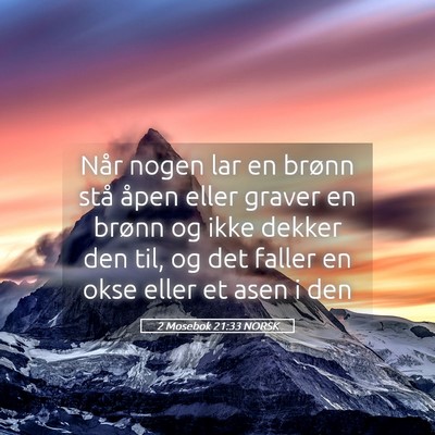 Picture 05 - 2 Mosebok 21:33 NORSK - Når nogen lar en brønn stå åpen eller graver - Bible Verse Picture