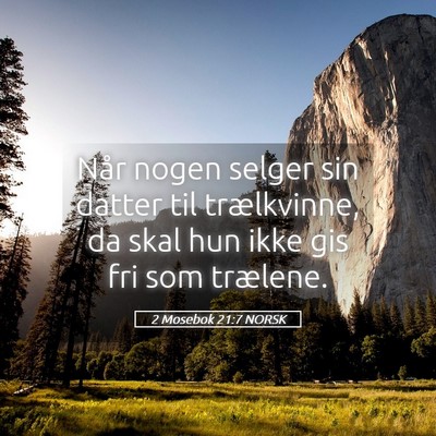Picture 05 - 2 Mosebok 21:7 NORSK - Når nogen selger sin datter til trælkvinne, da - Bible Verse Picture