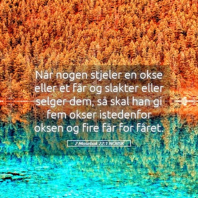 Picture 05 - 2 Mosebok 22:1 NORSK - Når nogen stjeler en okse eller et får og - Bible Verse Picture