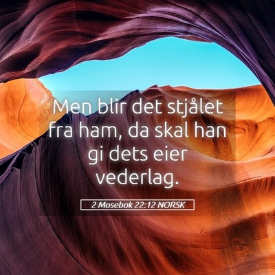 Picture 05 - 2 Mosebok 22:12 NORSK - Men blir det stjålet fra ham, da skal han gi - Bible Verse Picture