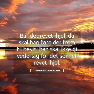 Picture 05 - 2 Mosebok 22:13 NORSK - Blir det revet ihjel, da skal han føre det frem - Bible Verse Picture