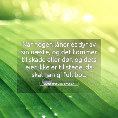 Picture 05 - 2 Mosebok 22:14 NORSK - Når nogen låner et dyr av sin næste, og det - Bible Verse Picture