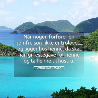 Picture 05 - 2 Mosebok 22:16 NORSK - Når nogen forfører en jomfru som ikke er - Bible Verse Picture