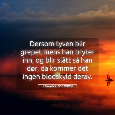 Picture 05 - 2 Mosebok 22:2 NORSK - Dersom tyven blir grepet mens han bryter inn, og - Bible Verse Picture