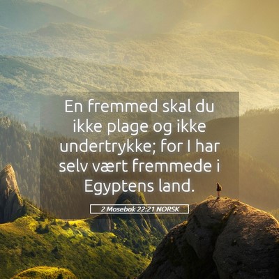 Picture 05 - 2 Mosebok 22:21 NORSK - En fremmed skal du ikke plage og ikke - Bible Verse Picture