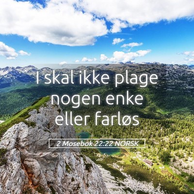 Picture 05 - 2 Mosebok 22:22 NORSK - I skal ikke plage nogen enke eller - Bible Verse Picture