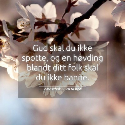 Picture 05 - 2 Mosebok 22:28 NORSK - Gud skal du ikke spotte, og en høvding blandt - Bible Verse Picture