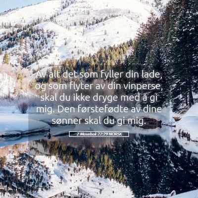 Picture 05 - 2 Mosebok 22:29 NORSK - Av alt det som fyller din lade, og som flyter av - Bible Verse Picture
