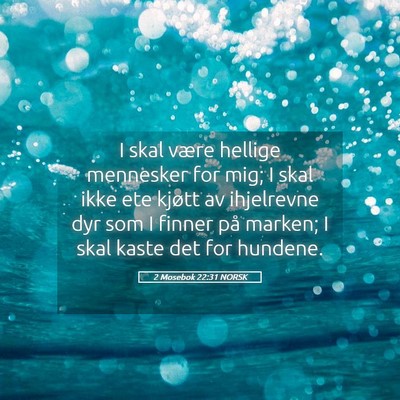 Picture 05 - 2 Mosebok 22:31 NORSK - I skal være hellige mennesker for mig; I skal - Bible Verse Picture