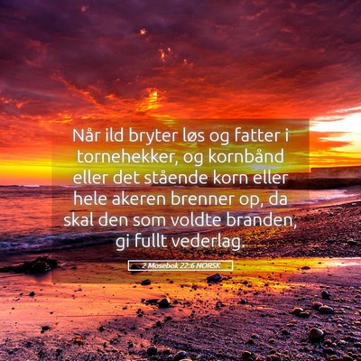 Picture 05 - 2 Mosebok 22:6 NORSK - Når ild bryter løs og fatter i tornehekker, og - Bible Verse Picture