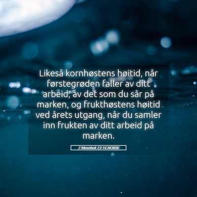 Picture 05 - 2 Mosebok 23:16 NORSK - Likeså kornhøstens høitid, når førstegrøden - Bible Verse Picture