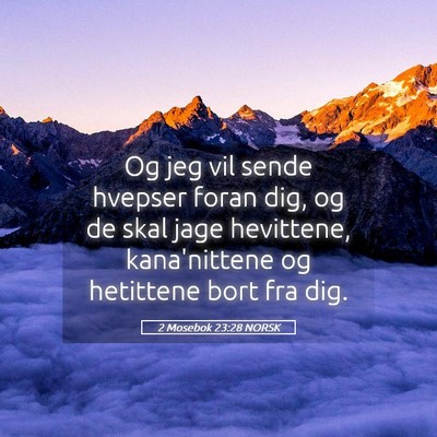 Picture 05 - 2 Mosebok 23:28 NORSK - Og jeg vil sende hvepser foran dig, og de skal - Bible Verse Picture