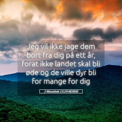 Picture 05 - 2 Mosebok 23:29 NORSK - Jeg vil ikke jage dem bort fra dig på ett år, - Bible Verse Picture