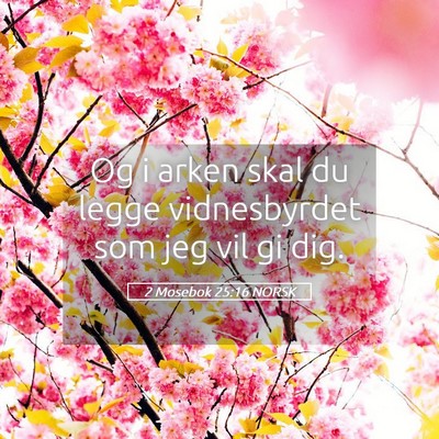 Picture 05 - 2 Mosebok 25:16 NORSK - Og i arken skal du legge vidnesbyrdet som jeg vil - Bible Verse Picture