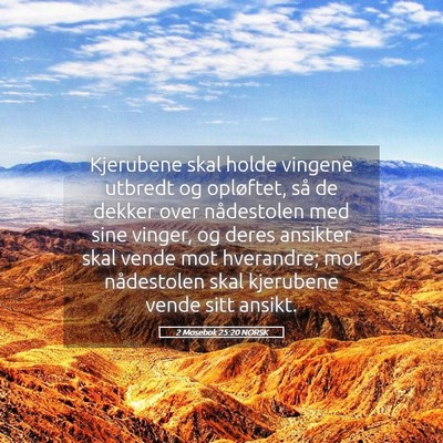 Picture 05 - 2 Mosebok 25:20 NORSK - Kjerubene skal holde vingene utbredt og - Bible Verse Picture