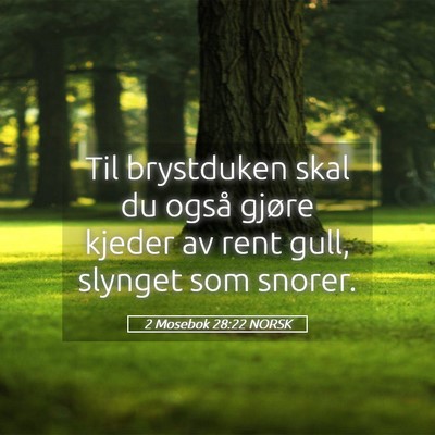 Picture 05 - 2 Mosebok 28:22 NORSK - Til brystduken skal du også gjøre kjeder av - Bible Verse Picture