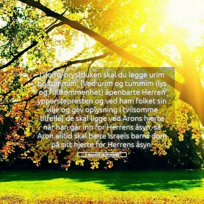Picture 05 - 2 Mosebok 28:30 NORSK - I doms-brystduken skal du legge urim og tummim; - Bible Verse Picture