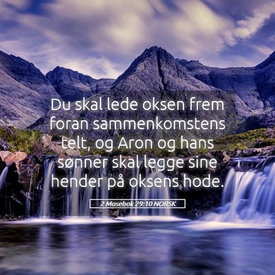 Picture 05 - 2 Mosebok 29:10 NORSK - Du skal lede oksen frem foran sammenkomstens - Bible Verse Picture