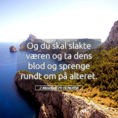 Picture 05 - 2 Mosebok 29:16 NORSK - Og du skal slakte væren og ta dens blod og - Bible Verse Picture