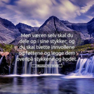 Picture 05 - 2 Mosebok 29:17 NORSK - Men væren selv skal du dele op i sine stykker; - Bible Verse Picture