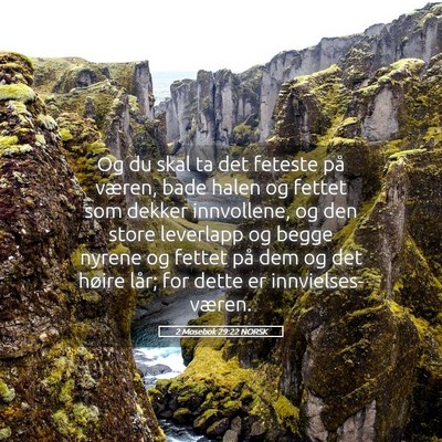 Picture 05 - 2 Mosebok 29:22 NORSK - Og du skal ta det feteste på væren, bade halen - Bible Verse Picture