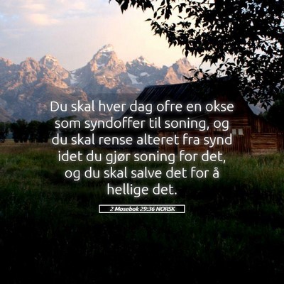 Picture 05 - 2 Mosebok 29:36 NORSK - Du skal hver dag ofre en okse som syndoffer til - Bible Verse Picture